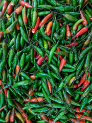 peppers  red green food beautiful