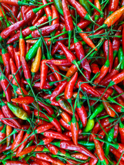 peppers  red green food beautiful