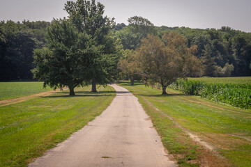 Fototapeta na wymiar A rural countryside farmland of America.