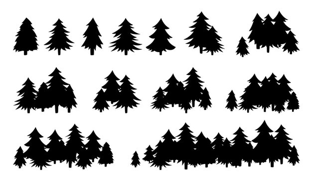 Forest trees textured, black silhouette. Hand drawn landscapes flat monochrome shape. Evergreen woods horizon. Various forms of cartoon wood. Vector illustration on white background