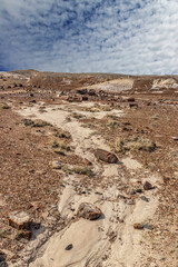 Contrasting skies and clouds over the Petrified National Forrest, AZ, USA