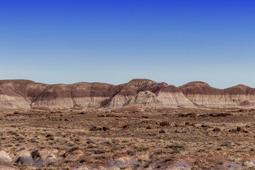 Dual colored folding hills behind special rocks at the Petrified National Forrest, AZ, USA