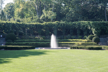 green tree water fountain park