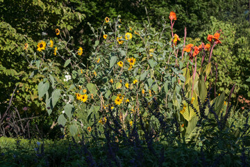 flowers green orange yellow garden