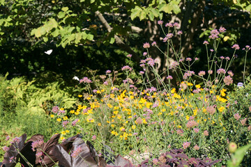 garden butterfly  pink green flowers