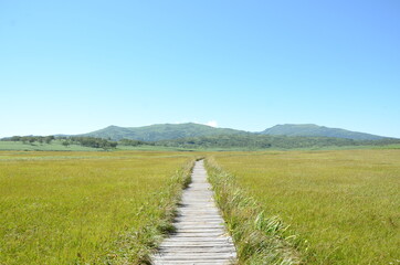 雨竜沼湿原の風景　木道
