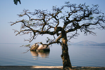 beach sea tree autumn peace