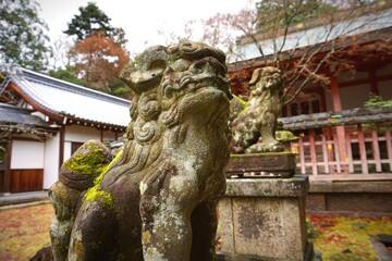 Komainu (狛犬) - Shrine Stone Lions 