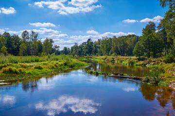 Fototapeta na wymiar Scenic landscape with calm river and green vegetation.