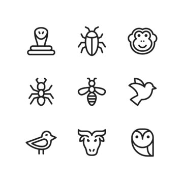 Animal icon set including snake, cockroach, monkey, ant, bee, pigeon, chick, buffalo, owl.