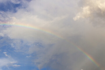 Fototapeta premium rainbow in the sky
