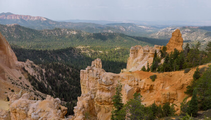 Fototapeta na wymiar Panorama of summer landscape in Zion Canyon, Utah, USA.
