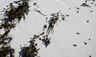 White sand on the beach