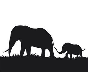 Fototapeta premium Design of elephants family walking