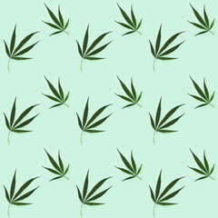 Seamless pattern Cannabis Leaves on light green paper background. Printing on fabric, wrapping paper.