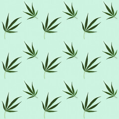 Fototapeta premium Seamless pattern Cannabis Leaves on light green paper background. Printing on fabric, wrapping paper.