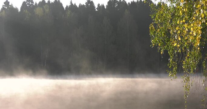 4K summer early morning high quality video footage of pristine lush green pine tree surrounded forest lake with dark calm water reflecting clouds, a dam, island and a sand beach near small town