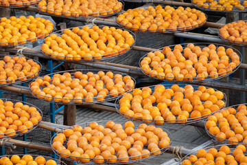 dried up persimmon under the sun