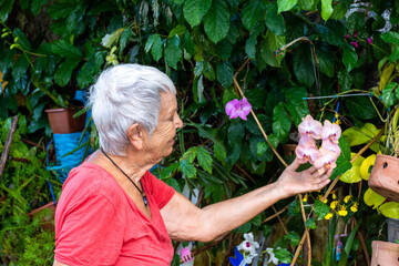 Mulher idosa cuidando do jardim como terapia