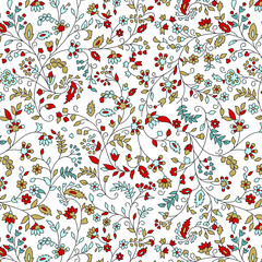 traditional Indian paisley pattern on  white   background