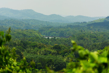 Obraz premium Greenish view