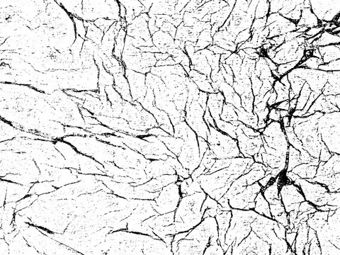 A black and white abstract vector texture made using scans of creased and crumpled tissue paper. The vector file has a background fill layer and a texture layer to enable rapid color scheme changes.