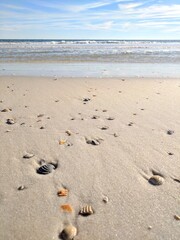 footprints on the beach