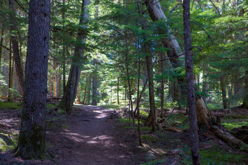 Priest Lake Landscapes