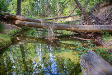 Fototapeta premium Priest Lake Landscapes