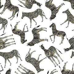 Fototapeta na wymiar Zebra animal realistic seamless pattern