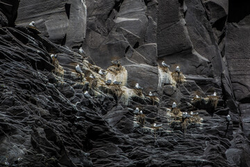 The volcanic black basalt landscape at the coast of Hellnar, a small town in Snaefellsnes, Iceland.