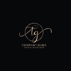 TG Initial handwriting logo template vector
