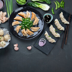 Asian dumplings set