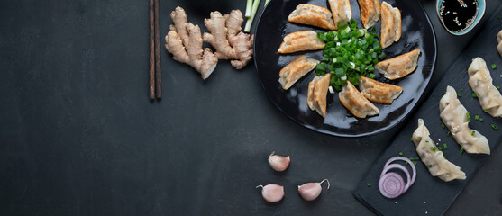 Asian dumplings set