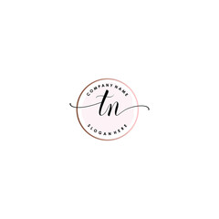 TN Initial handwriting logo template vector