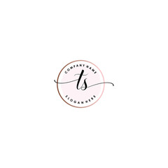 TS Initial handwriting logo template vector

