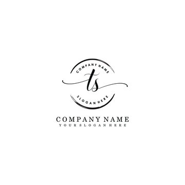 TS Initial handwriting logo template vector
