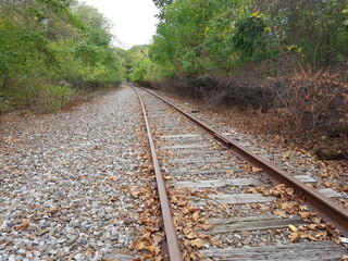 Obraz premium paseos