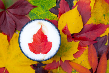 Top view of cappuccino coffee cup on autumn background with colored leaves
