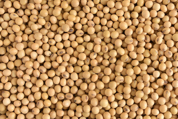 Soybean background. Agricultural products for making soy milk,Top view.