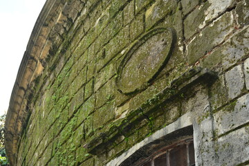 Church facade made from bricks and surrounded by algae