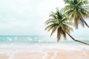 Fototapeta premium Tropical nature clean beach and white sand in summer with sun light blue sky and bokeh background.