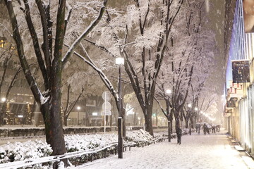 豪雪に見舞われた東京・表参道