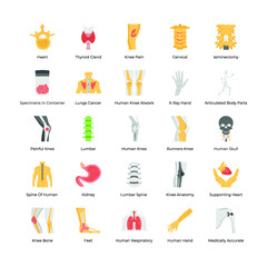 Collection Of Orthopedic Prosthesis Medical Implants Artificial Body Parts
