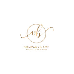 VB Initial handwriting logo template vector