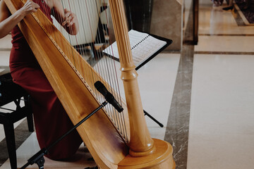 woman harpist player playing harp