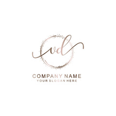 Obraz premium VD Initial handwriting logo template vector