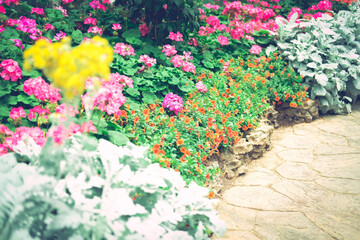 blooming flower plant in garden park