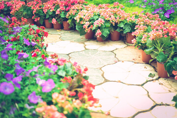blooming flower plant in garden park