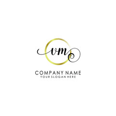 VM Initial handwriting logo template vector
